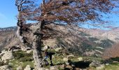 Excursión Senderismo Lucciana - lac de nino - Photo 4