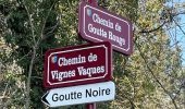 Randonnée Marche Villemontais - Villemontais : Chérier et Haut Ste-Agathe - Photo 7