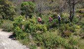 Excursión Senderismo Fréjus - z le plan Guinet 30-04-19 - Photo 3