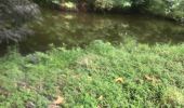 Trail Trail Sainte-Anne - Saint Anne  - Photo 3