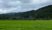 Trail Horseback riding Bastogne - Livarchamps - Surre (LU) 29 août 2021 - Photo 9