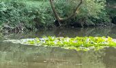 Tour Wandern Gesves - Autour de gesves  - Photo 2