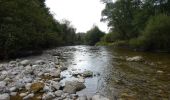 Randonnée A pied Weyarn - Sterneck - Photo 2