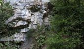 Tour Zu Fuß Sassenage - Les Gorges du Furon - Photo 1