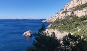 Tour Wandern Marseille - Rando calanque Morgiou  - Photo 8