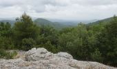 Randonnée A pied Plan-d'Aups-Sainte-Baume - plan d'aups pour l été - Photo 3