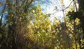 Trail Walking Boos - 20211123-Boos - Photo 13