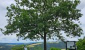 Tour Wandern Vianden - 2023-06-19_15h21m20_eislek-pad-vianden-1 - Photo 6