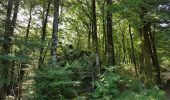 Tocht Stappen Lauroux - Labeil - Forêt de l'Escandorgue - Photo 5