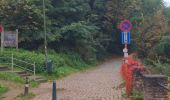 Trail Walking Anderlecht - sncb diest - Photo 6