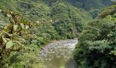 Tour Wandern Río Verde - Cascada del pailón del diablo - Photo 5