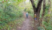 Tocht Stappen Saint-Plantaire - le rocher de la fileuse - Photo 6