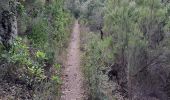 Trail Walking Pierrefeu-du-Var - N4 Portaniere fedon 1 - Photo 3