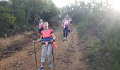 Trail Walking Roquebrune-sur-Argens - Les Petites Maures - Photo 5