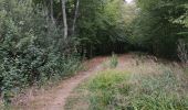 Randonnée Marche Giffaumont-Champaubert - LAC dur DER ... la forêt, la terre et l'eau.  - Photo 5