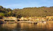 Randonnée Marche Hyères - Parc naturel de Port Cros - Photo 7