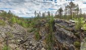 Trail On foot Savukoski - Sotsonportin kierros - Photo 10