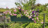 Tour Wandern Ittre - 2020-05-16 CH Fauquez - Virginal - Quenast - Raymonde - Rebecq Retour 21 km - Photo 4