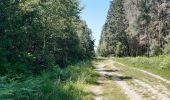 Trail Walking Spa - grand tour de la fagne de malchamps - Photo 1