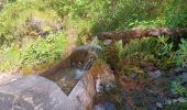 Excursión Senderismo Crévoux - mon.parcours des fées : cascade de razis via le torrent / retour via le canal du meal - Photo 10