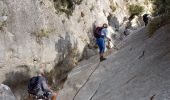 Tour Wandern Ollioules - 2021 10 20 les gorges de la Destel - Photo 6