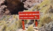 Tour Wandern Chile Chico - Circuito Piedra Clavada - Cueva de las Manos - Valle Lunar - Photo 18
