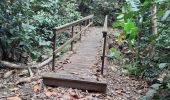 Tour Wandern Le Lorrain - Boucle Crabière - Anse Rivière Rouge - Photo 12