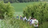 Tour Wandern Burdinne - Oteppe - Vissoul - Marneffe  - Photo 4