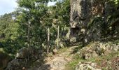 Percorso  Pranles - Volcan des Chirouses - Azur - Photo 1