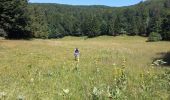 Trail Walking Izeron - La lunette- fontaine et grotte de Byry - Photo 5