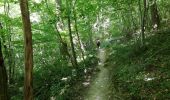 Trail Walking Saint-Pierre-de-Chandieu - 69-Saint Pierre de Chandieu 17km 400m MAI 2020 - Photo 3