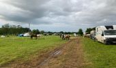 Trail Horseback riding Fremifontaine - Fremifontaine les sentiers d’epona kaline Tivio  - Photo 6