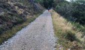 Trail Walking Bouvante - Tour du Plateau d’Ambel - Photo 8