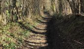 Tocht Te voet Theux - SityTrail - Theux  1 - Photo 1