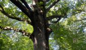 Trail Walking Poigny-la-Forêt - Poigny sud - Photo 1