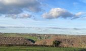 Tocht Stappen Olne - Bois Olne vers Égypte - Photo 2