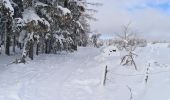 Tour Nordic Walking La Tour-d'Auvergne - 04/01/2021 l'asthme (63) - Photo 1