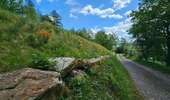 Randonnée Marche Stoumont - Balade à Stoumont  - Photo 9