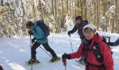 Trail Snowshoes Les Rousses - Noirmont et mont Sala Suisse - Photo 12