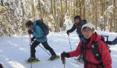 Randonnée Raquettes à neige Les Rousses - Noirmont et mont Sala Suisse - Photo 12