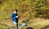 Tour Mountainbike Fougerolles-Saint-Valbert - Sortie vélo avec Vincent - Photo 1