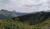 Trail Walking Morzine - 74-Avoriaz-cretes-belvedere-10km-360 - Photo 2