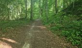 Tocht Stappen Vorges - circuit uit d'équipe vendangeoirs - Photo 2