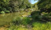 Trail Walking Sommières - Sommières les moulins du Vidourle  - Photo 1