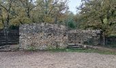 Trail Walking Camps-la-Source - Rocher du Gueit- Camps la Source-06-11-2024 - Photo 3