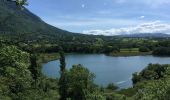 Trail Walking Saint-Jean-de-Chevelu - Tour des lacs du chevelu - Photo 3