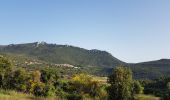 Excursión Cicloturismo Cucugnan - Cucugnan - Caudies-de-Fenouillèdes - Photo 11