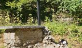 Randonnée Marche Aiguebelette-le-Lac - aiguebelette, col du crucifix - Photo 8