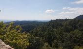 Tour Wandern Altweier - Roche du Tétras - Bilstein - Photo 4