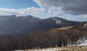 Tour Wandern Woll - sentier de névé  le hohneck - Photo 4